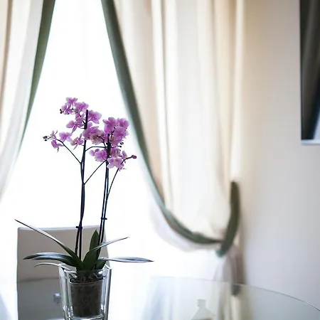 Appartement Kometa &